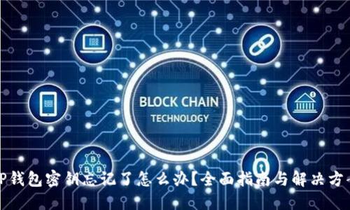 TP钱包密钥忘记了怎么办？全面指南与解决方案