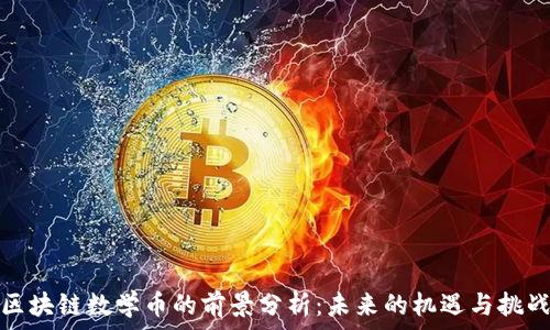  

区块链数学币的前景分析：未来的机遇与挑战