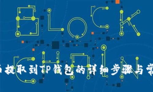 如何将FIL币提取到TP钱包的详细步骤与常见问题解答