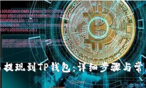 如何从欧易提现到TP钱包：详细步骤与常见问题解答