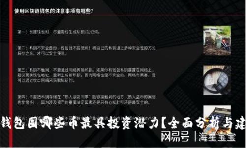 TP钱包囤哪些币最具投资潜力？全面分析与建议